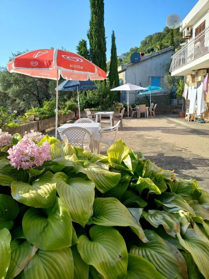Apartments Andjus سفيتي ستيفان المظهر الخارجي الصورة